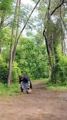 SURVIVING FAMINE WITH A MODERN SYSTEM.