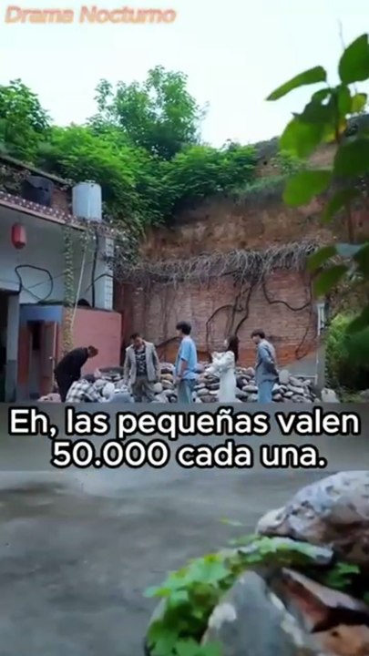 La Visión que Cambió Mil Millones 2
