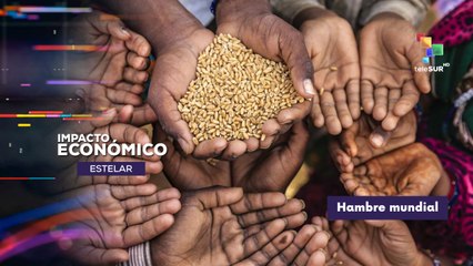 El flagelo del hambre y los desafios sobre el tema a nivel global IMPACTO ECONÓMICO ESTELAR 12-11-2025