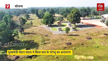 मोगली के घर पेंच में कबाड़ से बना दुनिया का सबसे बड़ा टाइगर स्टेच्यू, अमेरिका को भी पछाड़ा