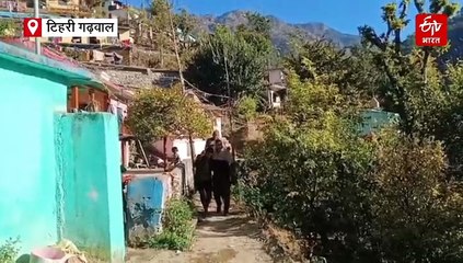 राज्य के 25 वर्षों को मुंह चिढ़ाती तस्वीर, टिहरी गढ़वाल में कई किमी पैदल चलकर डंडी कंडी से अस्पताल पहुंचाया मरीज