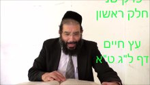שער פרצופי זו"ן פרק ב חלק א לג טא