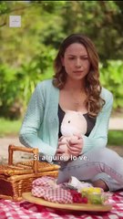 Accidentalmente embarazada del Alfa Completa en Español