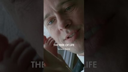 A spotlight on STUDIOCANAL's Palme d'Or winners. #cannes2025 🎬🎞️