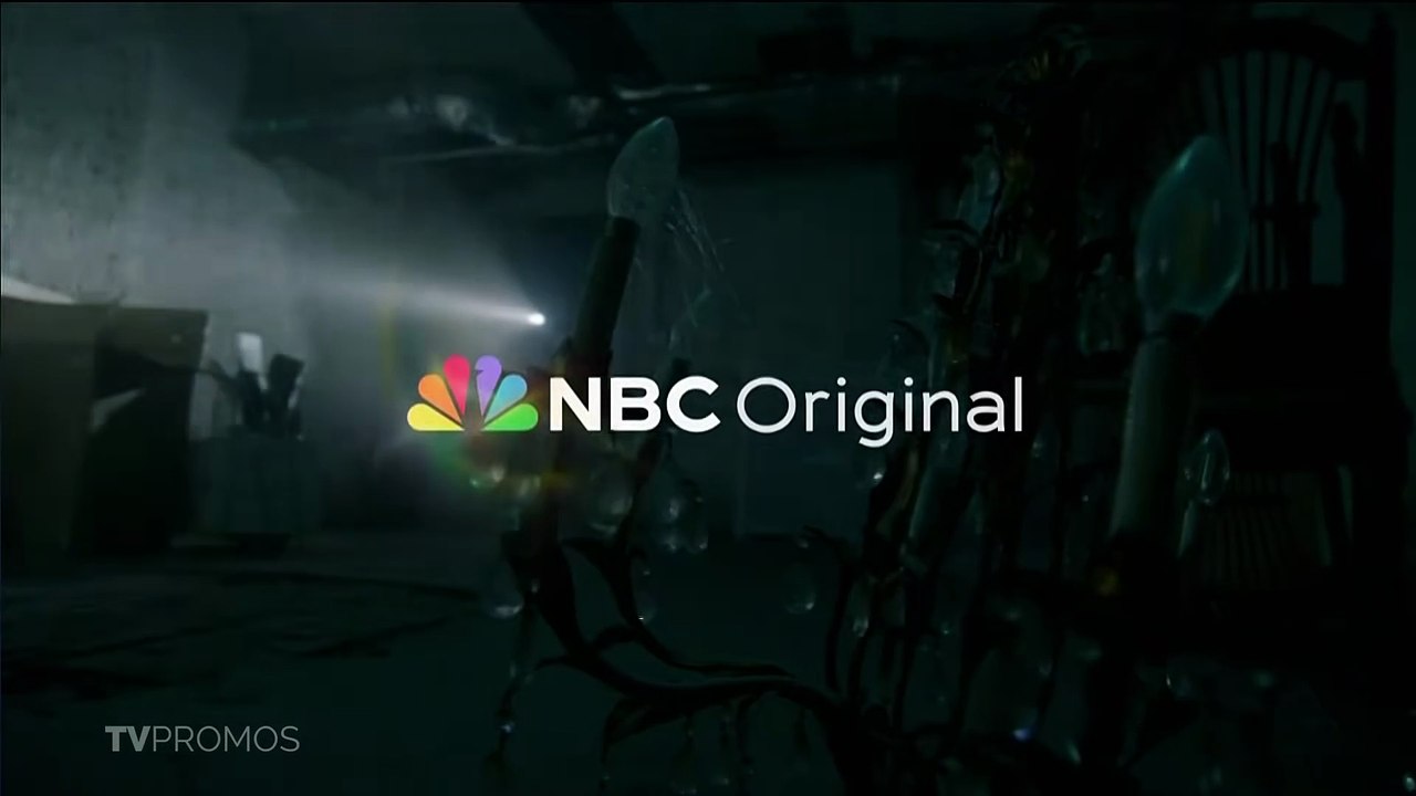 Chicago PD S13E08
