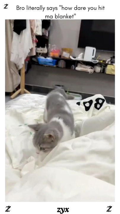 :bro literally says "how dare you hit ma blanket"
