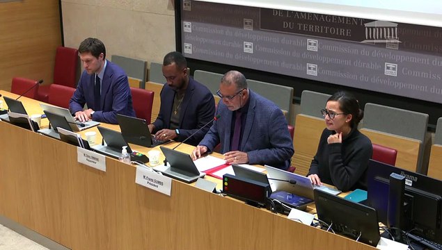 Accès à une justice adaptée aux besoins ultramarins : Collectif pour la réparation des injustices à La Réunion - Mercredi 12 novembre 2025