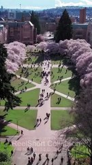 Wait — It Was Always Me - Full Movie - Chinese Drama