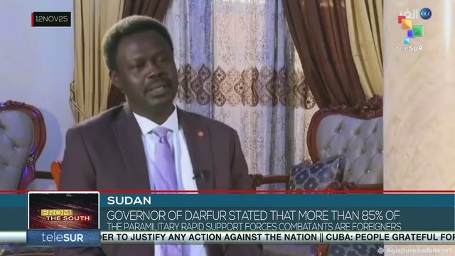 SUDAN l Governor of Darfur on the support forces combatants