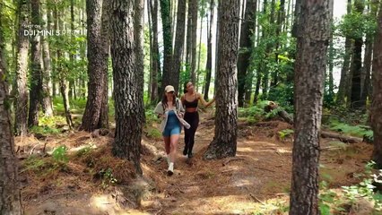 DJI Mini 5 Pro Fly More Combo (RC-2): Portable Power and Professional Imagery