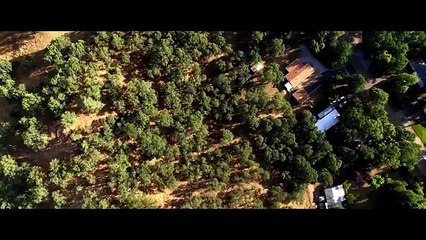 Interpreters Hollywood Movie Hindi Dubbed - Full Sci-Fi Thriller Movie HD