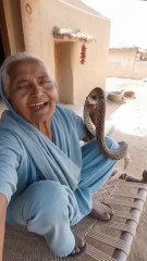 #DaadiKaVideo #FunnyPrank #SnakePrank #DaadiReaction #FunnyIndia