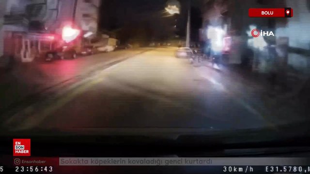 Bolu'da sokakta köpeklerin kovaladığı genci kurtardı