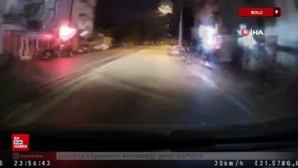 Bolu'da sokakta köpeklerin kovaladığı genci kurtardı