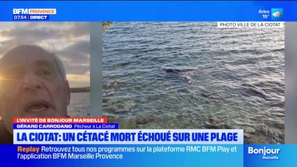 L'invité de Bonjour Marseille du jeudi 13 novembre 2025 - Gérard Carrodano