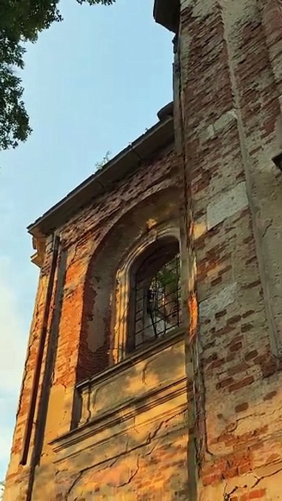 Video Sample 7