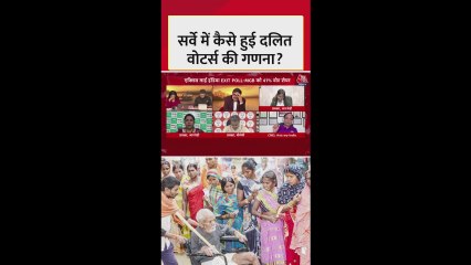 बिहार सर्वे में कैसे हुई दलित वोटर्स की गणना?
