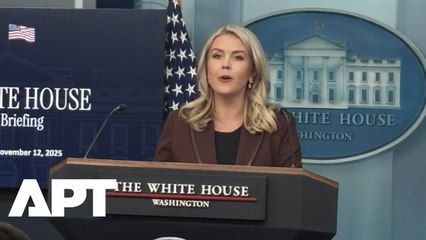 Karoline Leavitt Blames Democrats for ‘Reckless Shutdown’ Disrupting Millions | APT