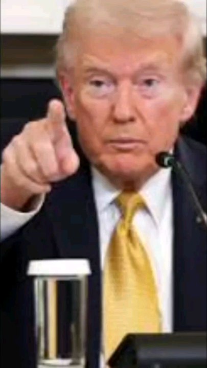 Donald trump's News