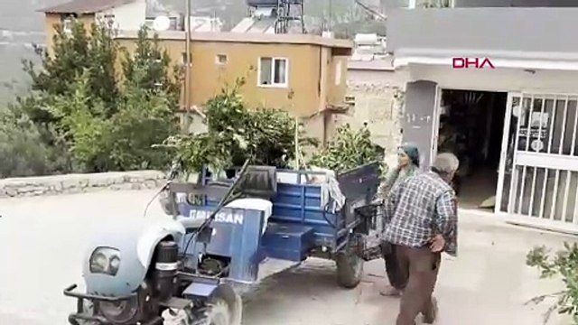 Doğada kendiliğinden yetişiyor, köylülere gelir kapısı oluyor! Kilosu 11 TL