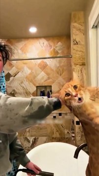 😹 Mèo nhà tui sau 3 tháng mới được kỳ lưng: mặt tan chảy level thần thánh luôn á!! 🤤 Còn mình? 10 vết cào + tay đau 3 ngày = phí dịch vụ spa mèo 5 sao 💸❣️🥲Ai từng bị boss tấn công khi tắm thì comment số vết cào kỷ lục của bạn ngay đi!!! 👇🔥