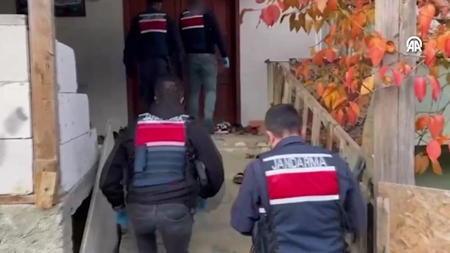 Evde kenevir yetiştiren ve uyuşturucuyla yakalanan 2 şüpheli tutuklandı