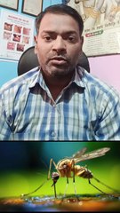 डेंगू बुखार को ठीक करने का तरीका ।