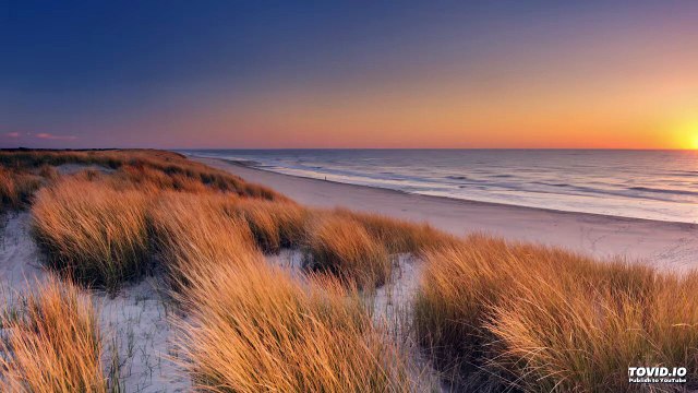 005שער טנת''א פרק ב | Harav ariel sibeoni | Kabbale | secrets de la Torah | ochrot hayim