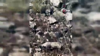 Tek ısırığı can alıyor! Türkiye’de yaşayan en zehirli yılan türü görüntülendi