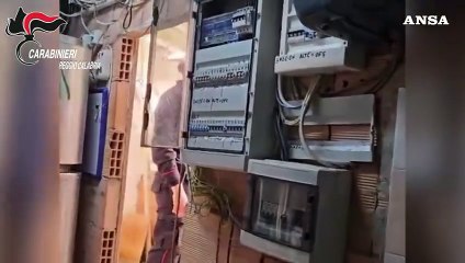 Reggio Calabria, scoperto bunker sotterraneo con piantagione di marijuana