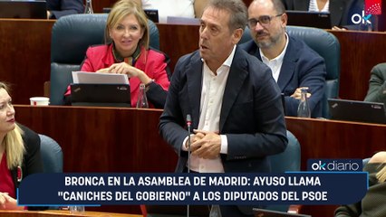 Bronca en la Asamblea de Madrid: Ayuso llama "caniches del Gobierno" a los diputados del PSOE