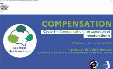 Les mots des transitions cycle 6 (1/3) : Compensation