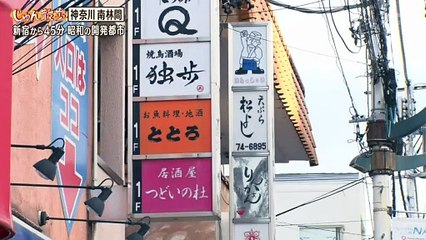 じゅん散歩  2025年日11月13日