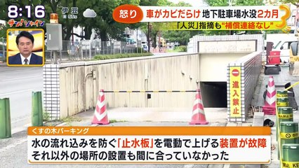 サン！シャイン 2025年日11月13日