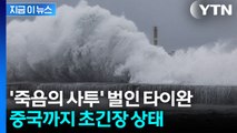 수만 명 피난길 올랐지만 피할 순 없었다...태풍 풍웡의 살인 경로 [지금이뉴스] / YTN
