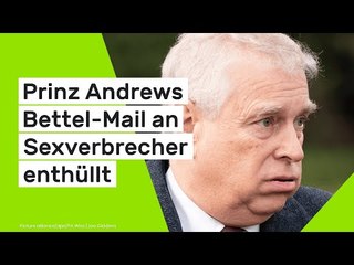 Geheim-Botschaft an Jeffrey Epstein: Prinz Andrews Bettel-Mail an Sexverbrecher enthüllt