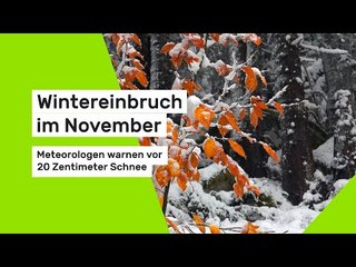 Wintereinbruch im November: Meteorologen warnen vor 20 Zentimeter Schnee