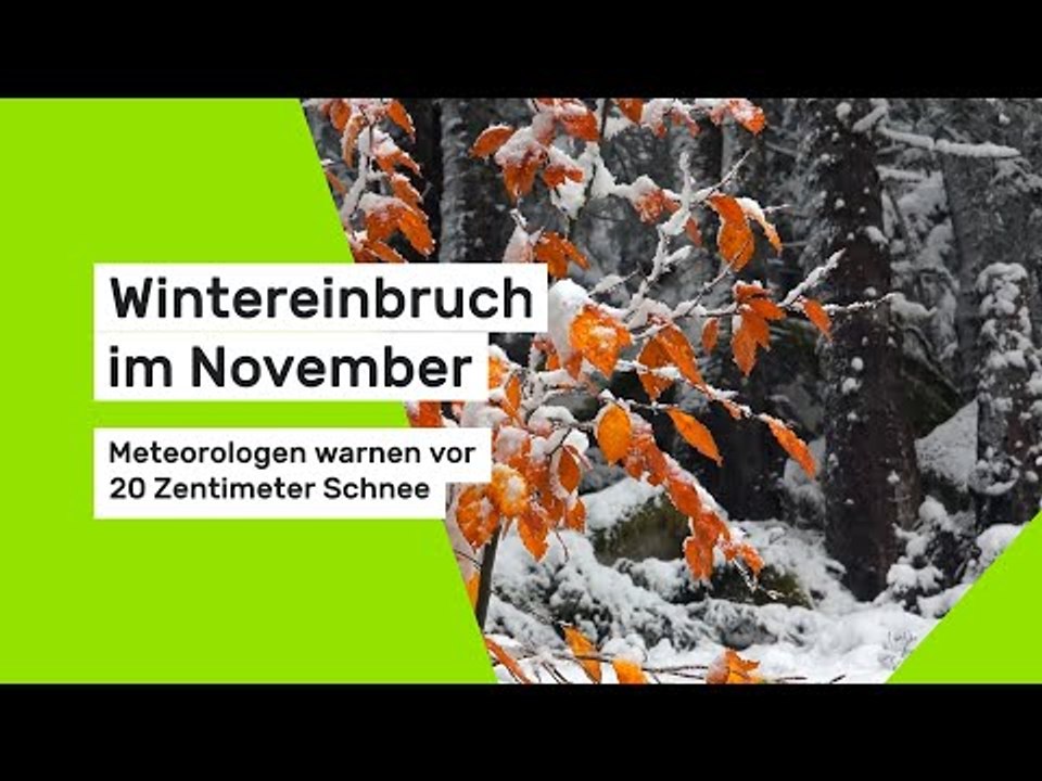 Wintereinbruch im November: Meteorologen warnen vor 20 Zentimeter Schnee