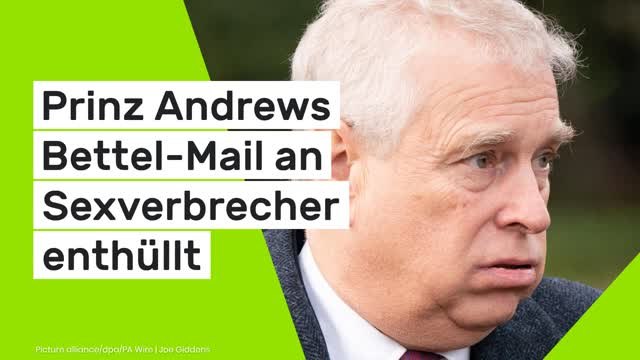 Geheim-Botschaft an Jeffrey Epstein: Ich kann nicht mehr! Prinz Andrews Bettel-Mail an Sexverbrecher enthüllt