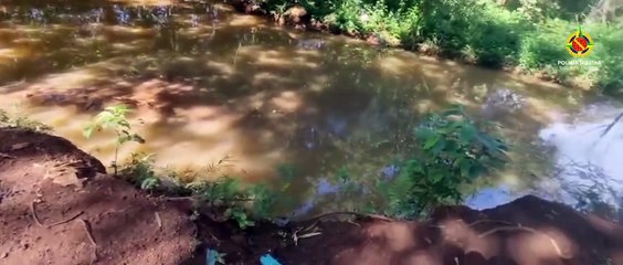 Cadelas do BPCães localizam drogas em áreas de tráfico no Plano Piloto