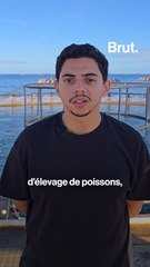 En Tunisie, Mohamed Ben Ahmed révolutionne l'aquaculture