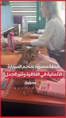قطة مصرية تقتحم السفارة الألمانية في القاهرة وتثير الجدل