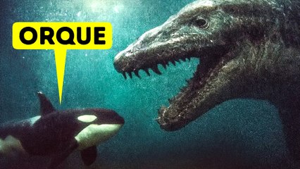Des monstres marins que vous n'arriverez pas à croire sont réels