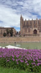LECHE VITRINE sur le port de Palma