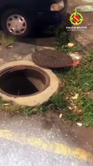 PMDF impede furto de cabos de energia e detém grupo que agia durante a madrugada na Asa Norte