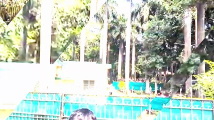 अजित पवारांचा सरकारमधून बाहेर पडण्याचा इशारा दानवेंच्या दाव्याने खळबळ का