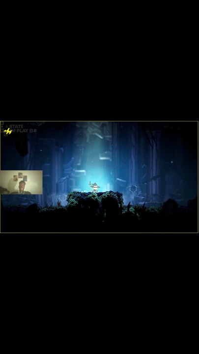 Holonite 2 dans Hollow Knight ? La Grosse Erreur !