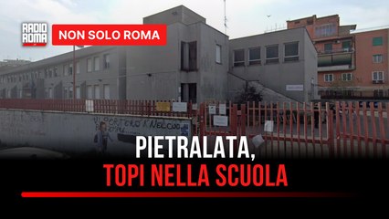 A Pietralata genitori e bambini occupano il Municipio: "La scuola è invasa dai topi e il cibo è scaduto"