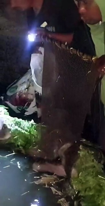 FISHING METHOD