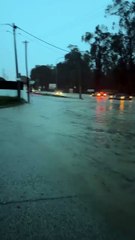 "Cemitério de carros". Dezenas de carros submersos em Fernão Ferro